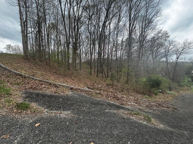 000 County Road 197, Athens, TN 37303 - photo 6