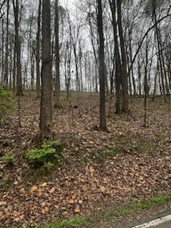 000 County Road 197, Athens, TN 37303 - photo 9