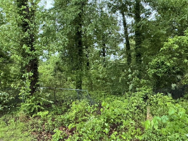 view of local wilderness with a view of trees