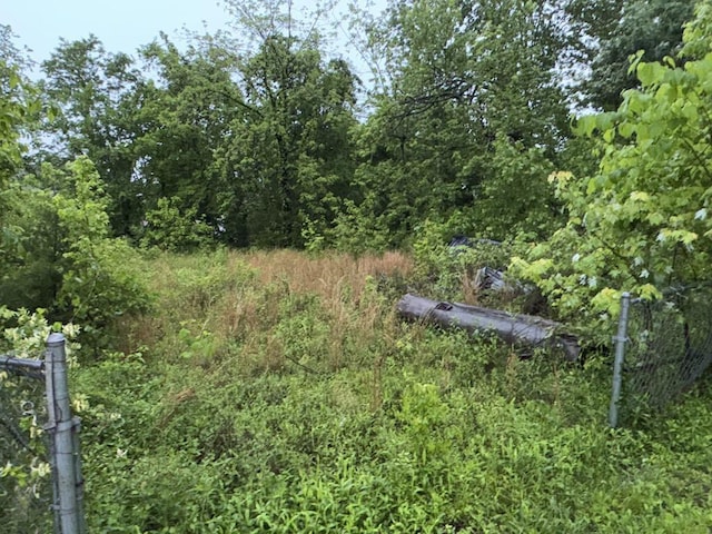view of landscape featuring a view of trees