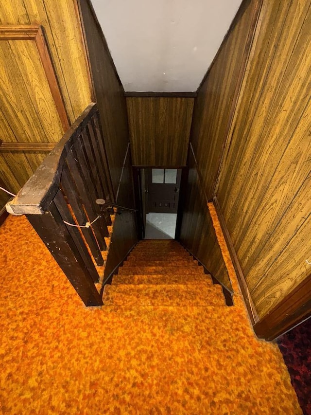 staircase featuring wooden walls and carpet
