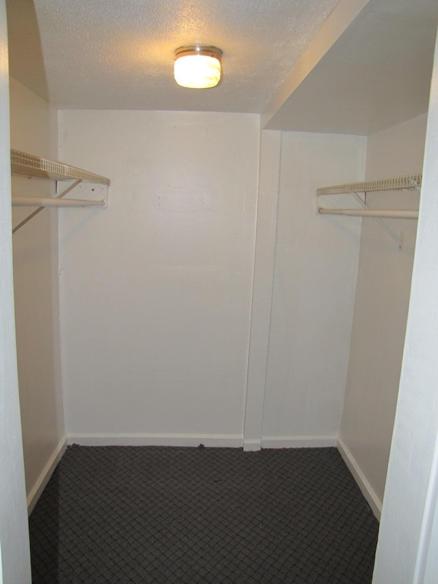 spacious closet featuring carpet