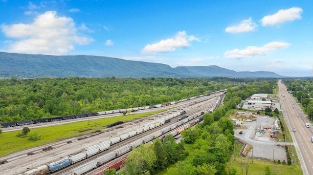 birds eye view of property featuring a mountain view and a view of trees