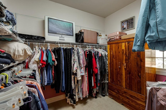 spacious closet featuring carpet flooring