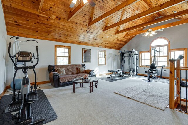 exercise room featuring a wealth of natural light, ceiling fan, and carpet