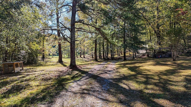 view of yard with a view of trees
