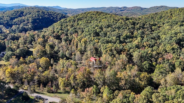 view of mountain feature with a wooded view