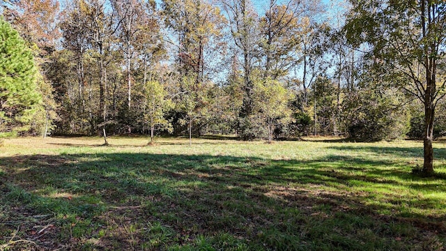 view of yard featuring a view of trees