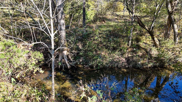 view of local wilderness featuring a wooded view