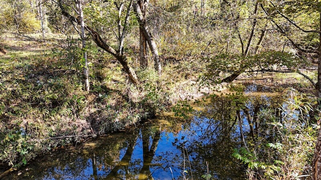 view of local wilderness featuring a water view and a forest view