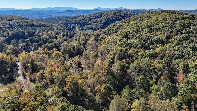 view of mountain feature with a wooded view
