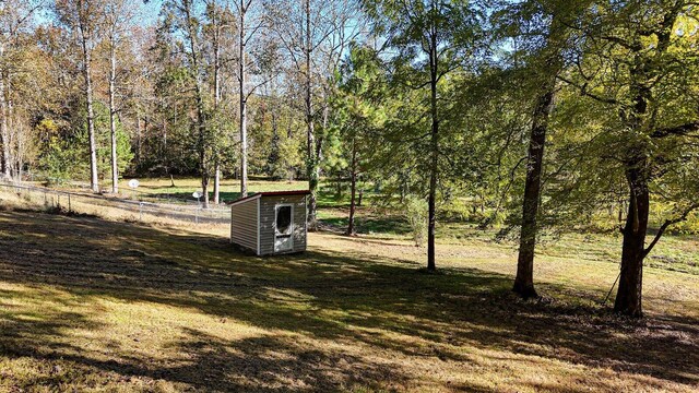 view of yard featuring a shed, an outdoor structure, and a forest view