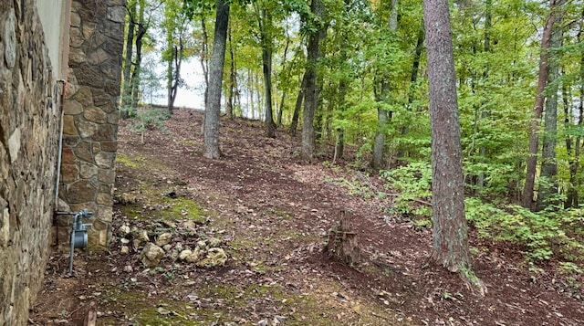 view of local wilderness