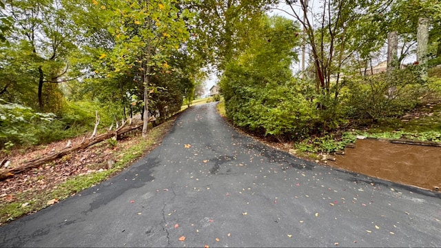 view of road