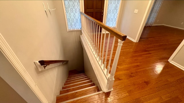 stairs with hardwood / wood-style floors