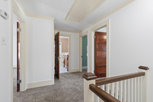 corridor with crown molding and carpet