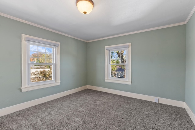 unfurnished room featuring carpet and crown molding