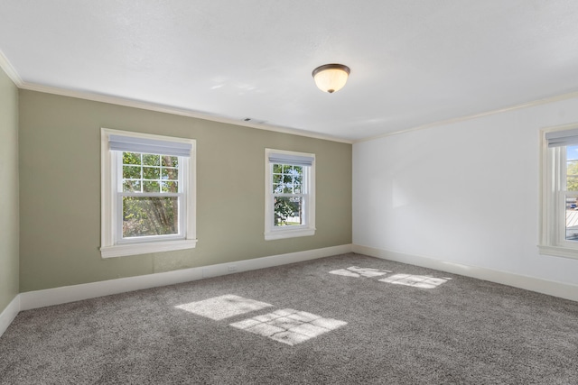 carpeted spare room with plenty of natural light and ornamental molding