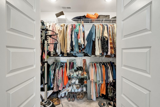 view of walk in closet