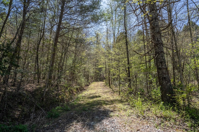 view of local wilderness featuring a forest view