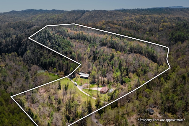 bird's eye view with a view of trees and a mountain view
