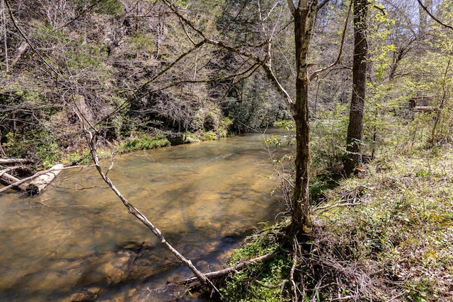 view of local wilderness