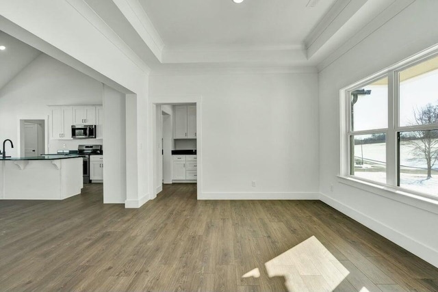 unfurnished living room featuring crown molding, sink, a tray ceiling, and dark wood-type flooring