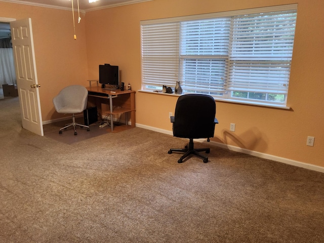 office featuring carpet flooring and crown molding