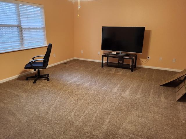 unfurnished office featuring carpet floors