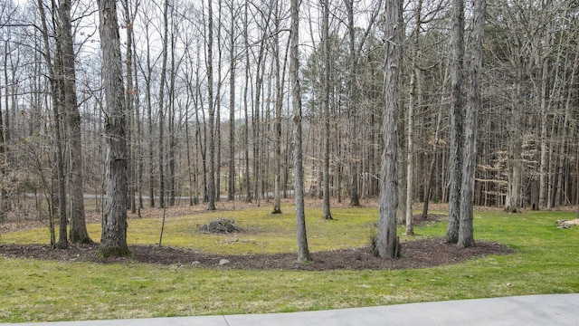 view of yard featuring a view of trees