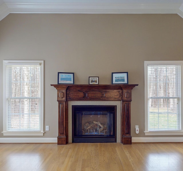 details with a fireplace, crown molding, and wood finished floors