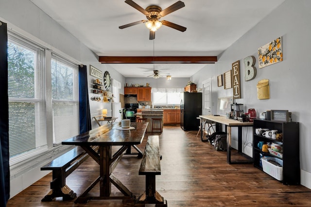 dining space with ceiling fan, beamed ceiling, and dark hardwood / wood-style flooring