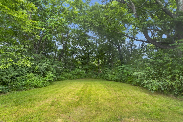 1050 King Edward Ave SE, Cleveland, TN 37311 - view of grassy yard