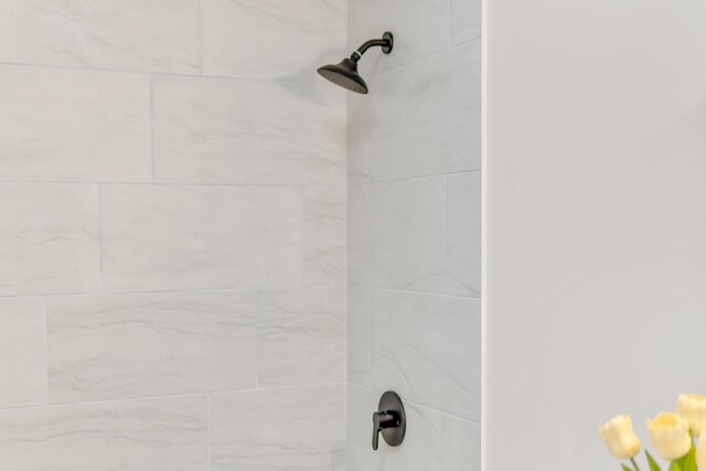 1050 King Edward Ave SE, Cleveland, TN 37311 - bathroom view of tiled shower