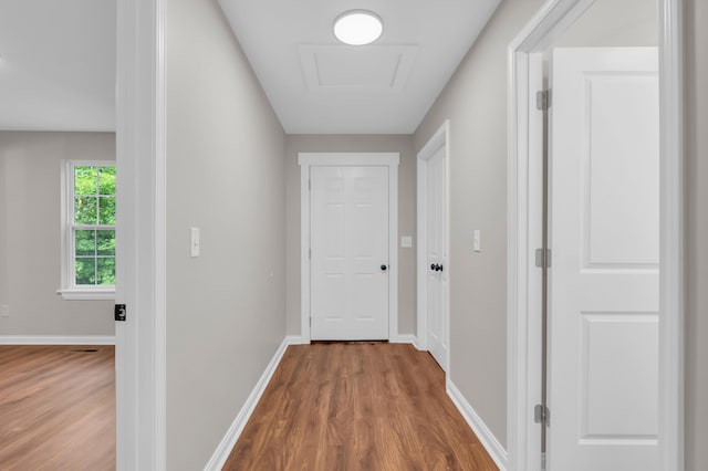 1050 King Edward Ave SE, Cleveland, TN 37311 - hall featuring wood finished floors and attic access