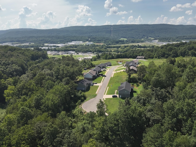 250 Mockingbird Ln, Dayton, TN 37321 - photo 11