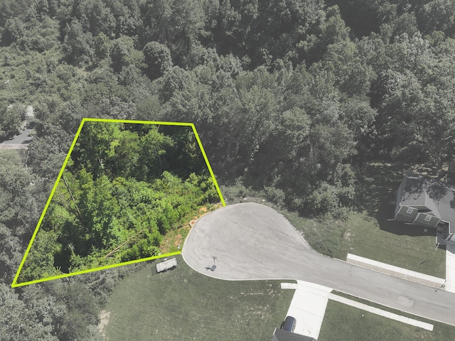 250 Mockingbird Ln, Dayton, TN 37321 - photo 2