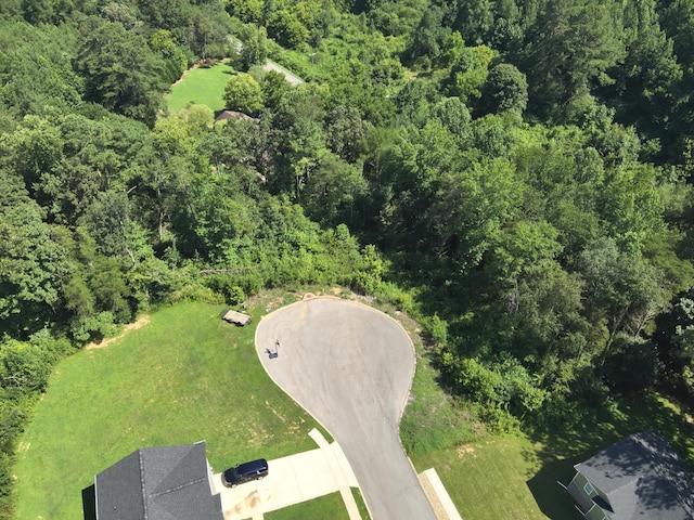 250 Mockingbird Ln, Dayton, TN 37321 - photo 8