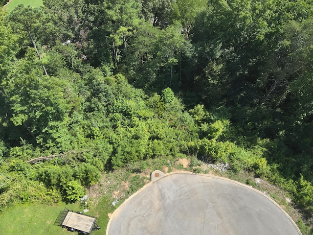 250 Mockingbird Ln, Dayton, TN 37321 - photo 12
