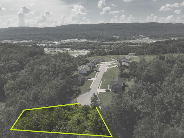 250 Mockingbird Ln, Dayton, TN 37321 - photo 1