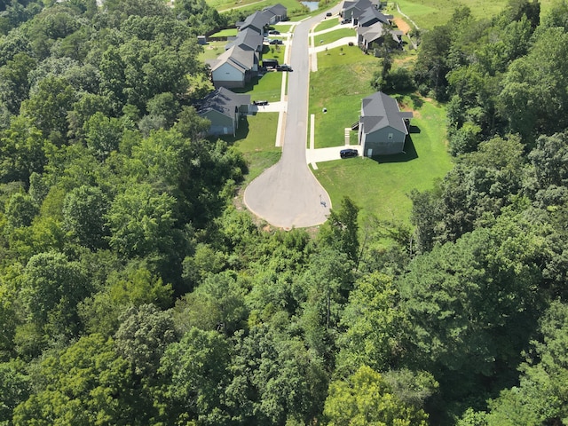 250 Mockingbird Ln, Dayton, TN 37321 - photo 7