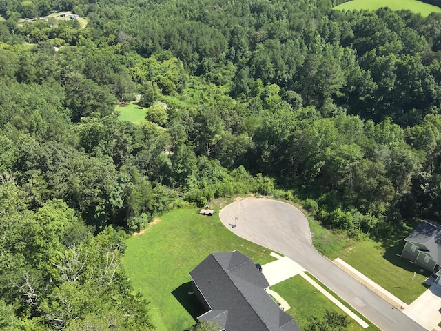 250 Mockingbird Ln, Dayton, TN 37321 - photo 6