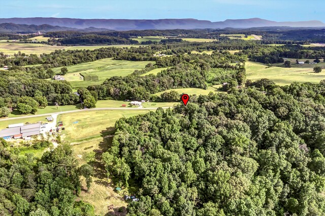 295 County Road 550, Athens, TN 37303 - photo 43