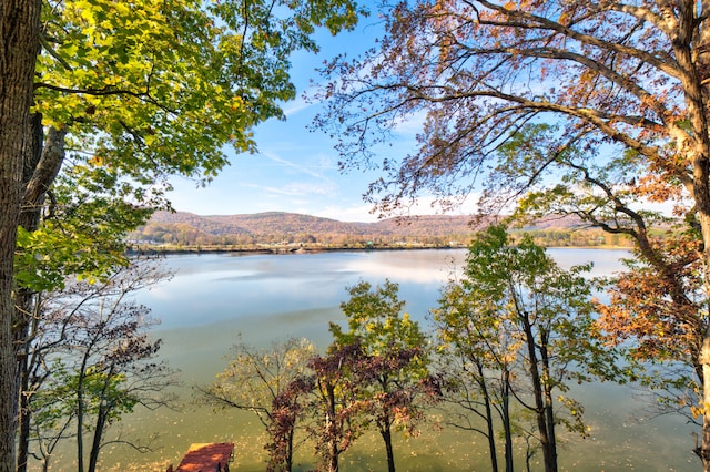 water view featuring a mountain view