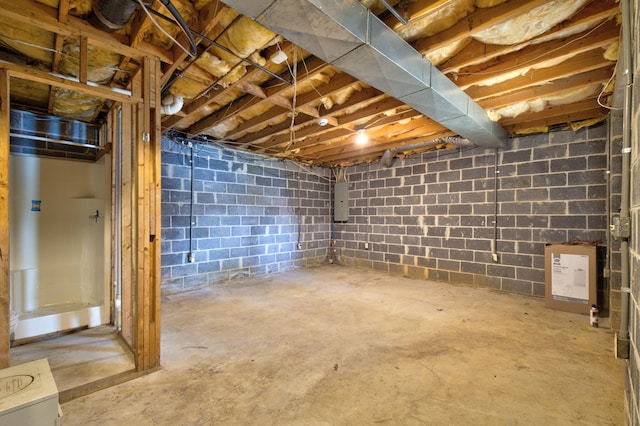 basement featuring electric panel