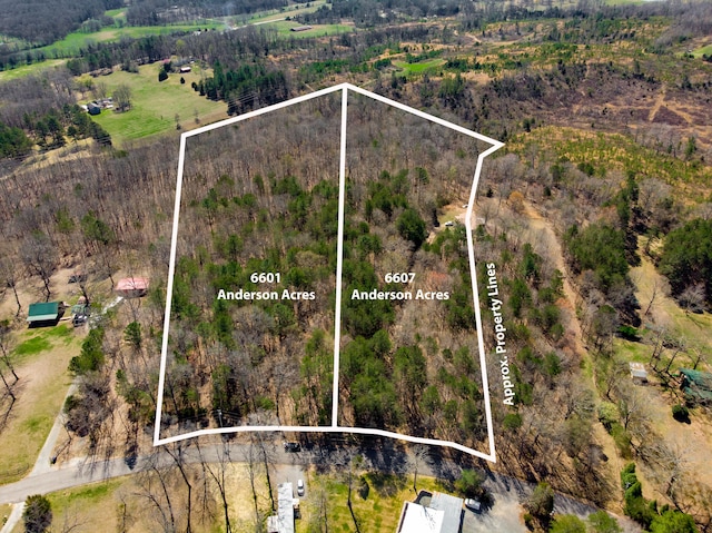 6601 Anderson Acres Dr, Georgetown TN, 37336 land for sale