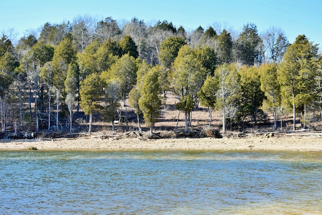 Listing photo 3 for LOT105 E Shore Dr, Rockwood TN 37854