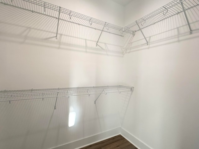 walk in closet featuring wood-type flooring