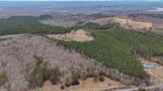 bird's eye view featuring a mountain view and a forest view