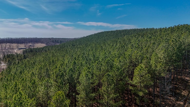 view of mountain feature with a wooded view